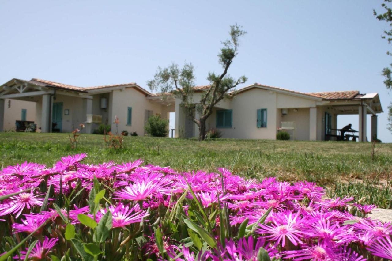 Agriturismo Podere 678 Гроссето Екстер'єр фото